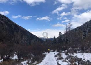 盗金父子俩自制版